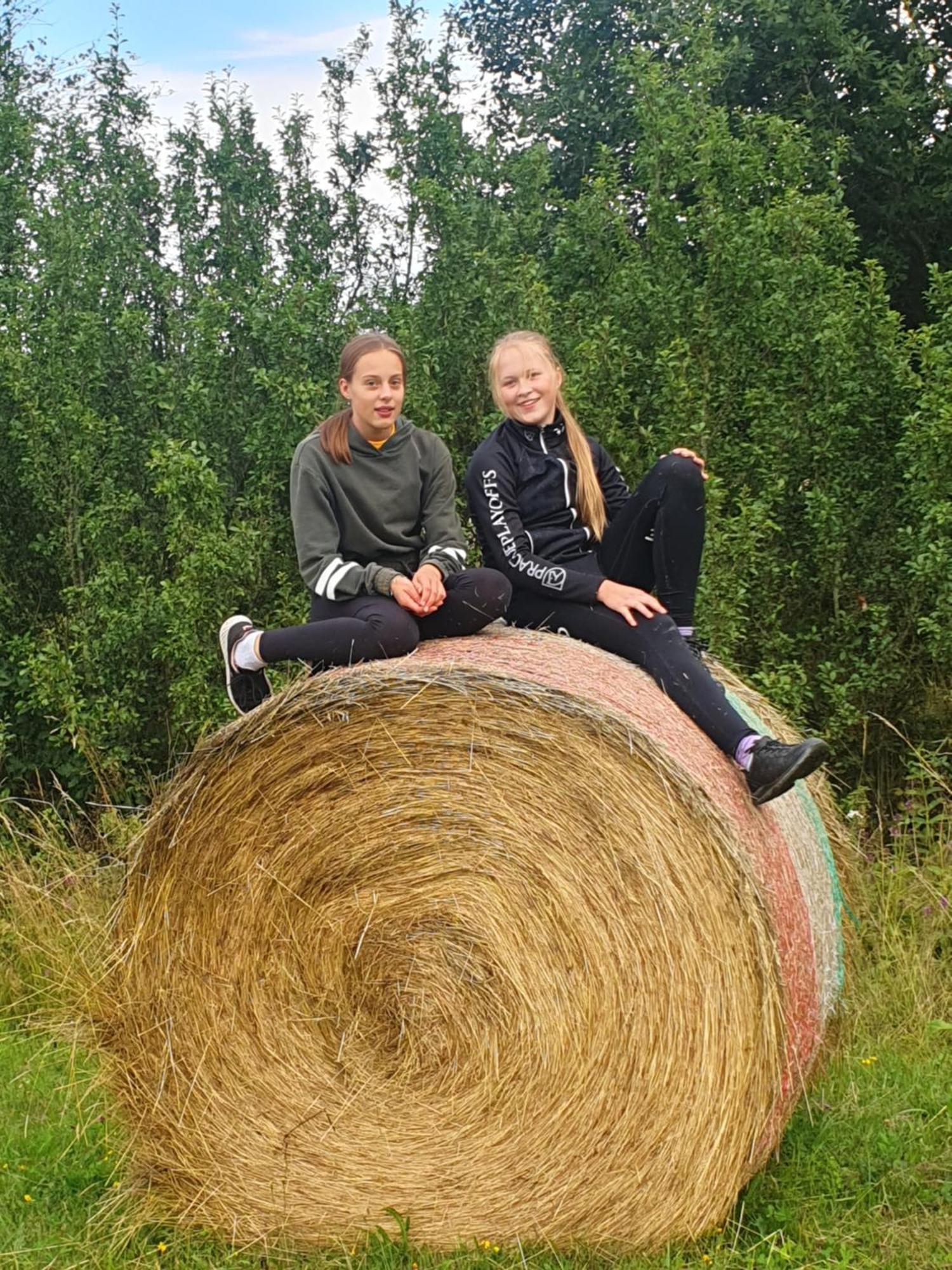 Hotelovy A Jezdecky Areal Dvur Krutenice Luaran gambar