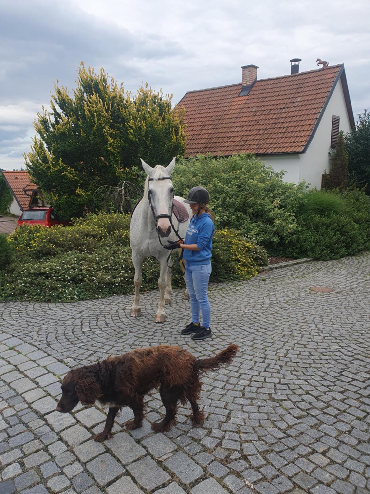 Hotelovy A Jezdecky Areal Dvur Krutenice Luaran gambar